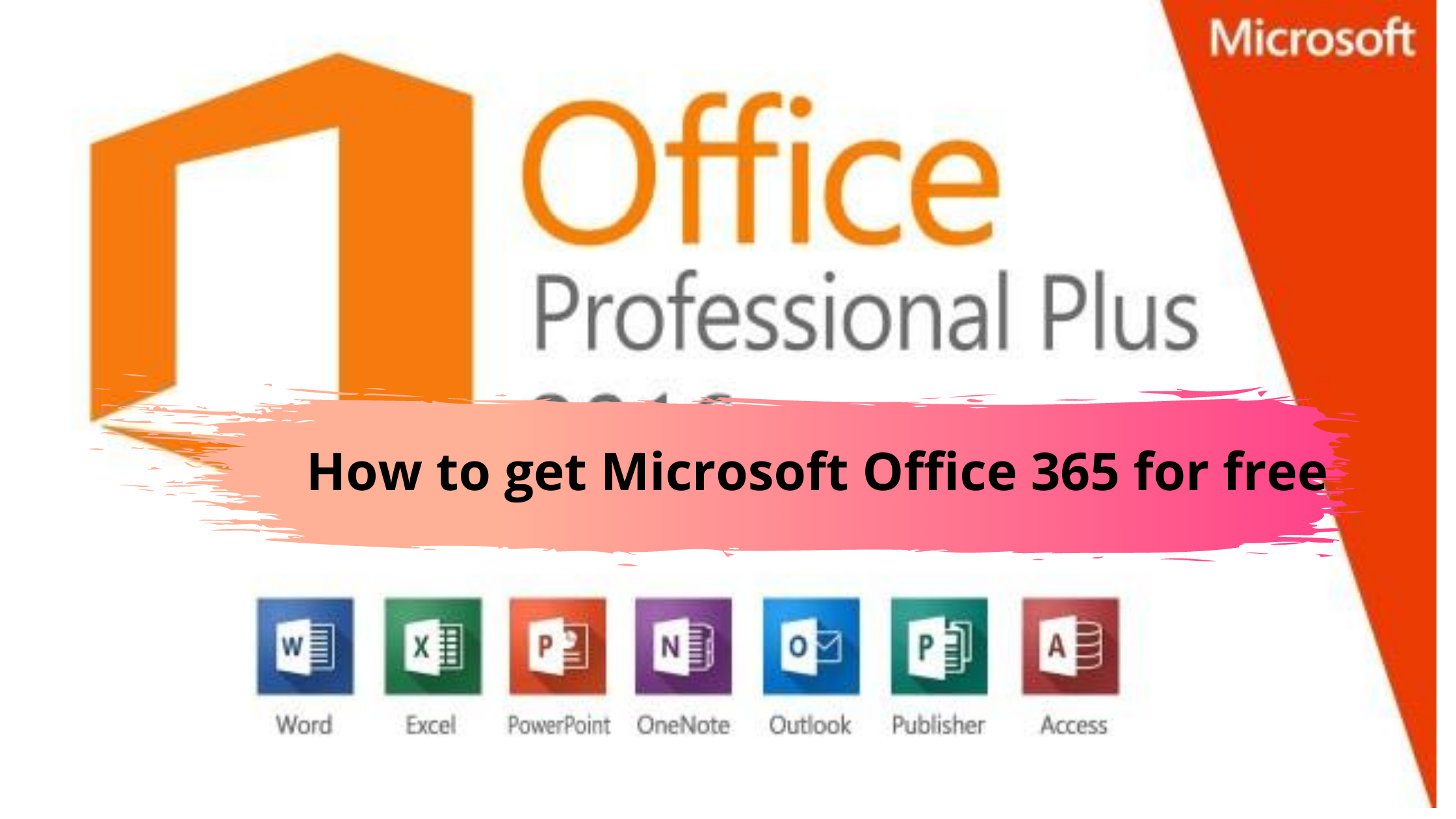 download microsoft word from office 365